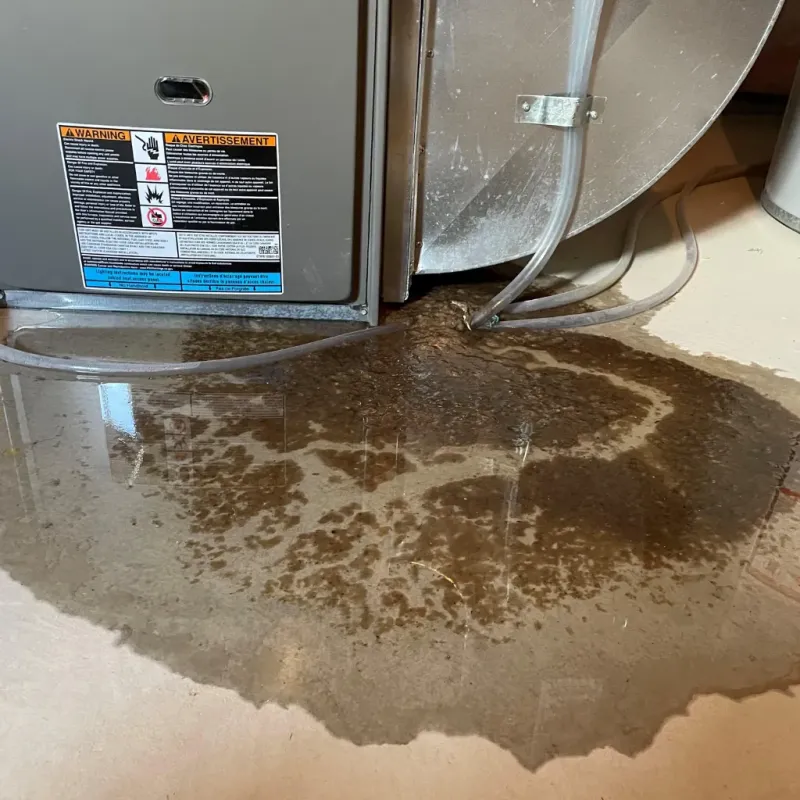 Appliance Leak Cleanup in Sergeant Bluff, IA